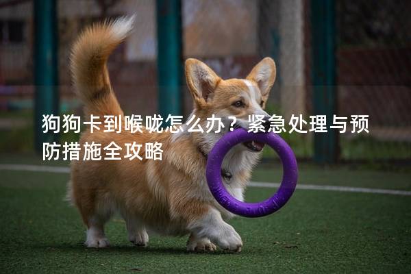 狗狗卡到喉咙怎么办？紧急处理与预防措施全攻略