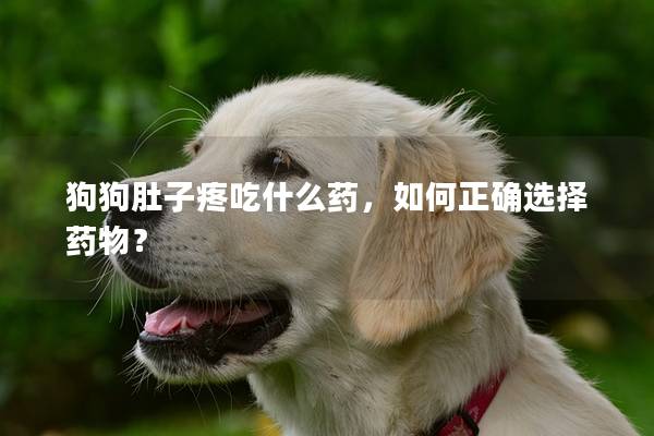 狗狗肚子疼吃什么药，如何正确选择药物？