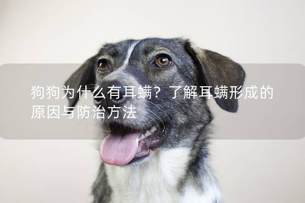 狗狗为什么有耳螨？了解耳螨形成的原因与防治方法