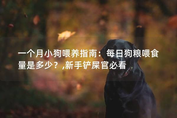 一个月小狗喂养指南：每日狗粮喂食量是多少？,新手铲屎官必看