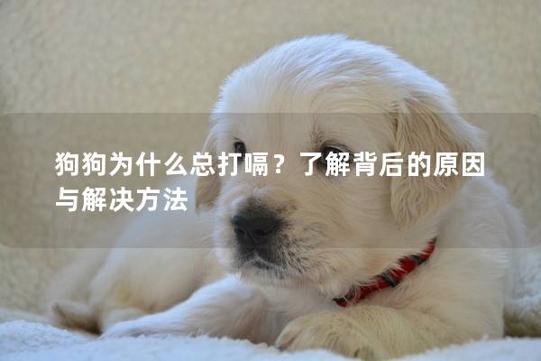 狗狗为什么总打嗝？了解背后的原因与解决方法