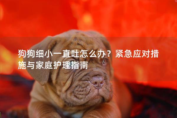 狗狗细小一直吐怎么办？紧急应对措施与家庭护理指南