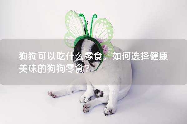狗狗可以吃什么零食，如何选择健康美味的狗狗零食？