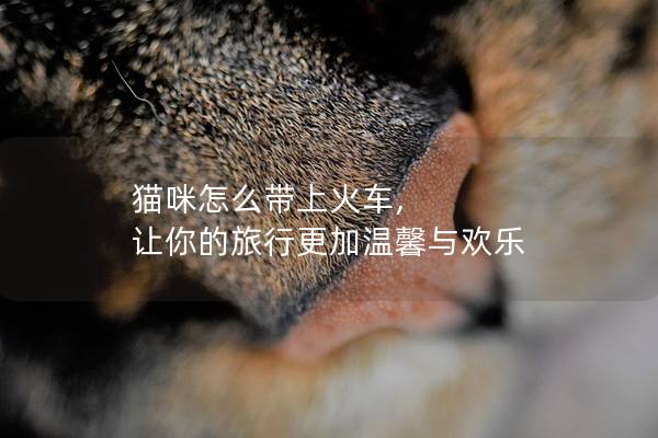 猫咪怎么带上火车, 让你的旅行更加温馨与欢乐
