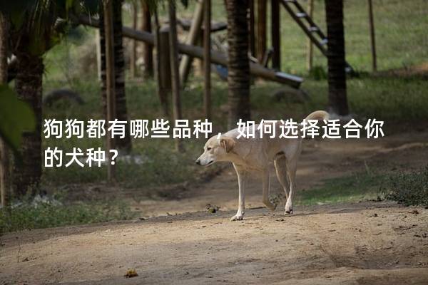 狗狗都有哪些品种，如何选择适合你的犬种？