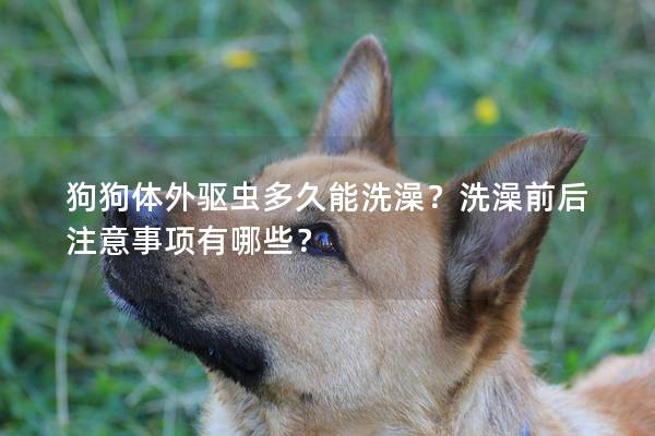 狗狗体外驱虫多久能洗澡？洗澡前后注意事项有哪些？