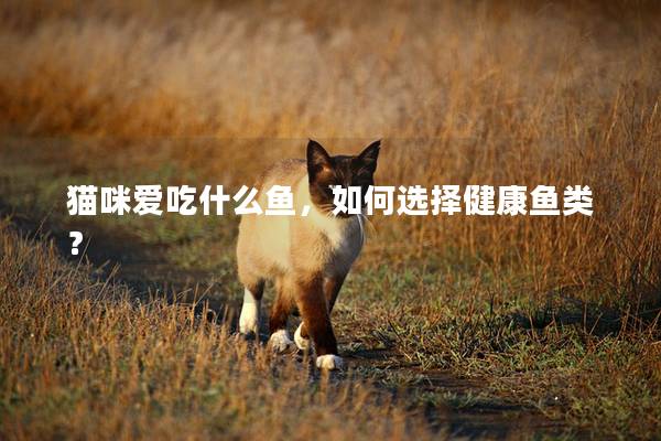 猫咪爱吃什么鱼，如何选择健康鱼类？