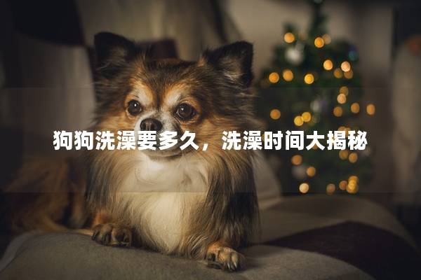 狗狗洗澡要多久，洗澡时间大揭秘