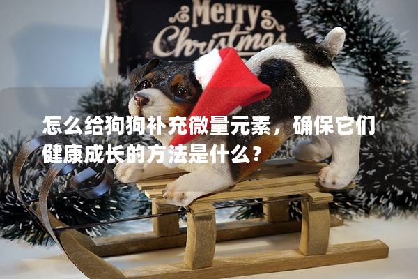 怎么给狗狗补充微量元素，确保它们健康成长的方法是什么？