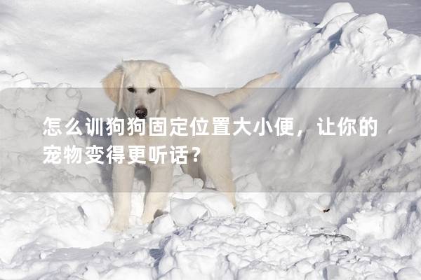 怎么训狗狗固定位置大小便，让你的宠物变得更听话？