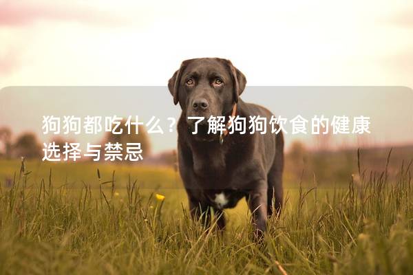狗狗都吃什么？了解狗狗饮食的健康选择与禁忌