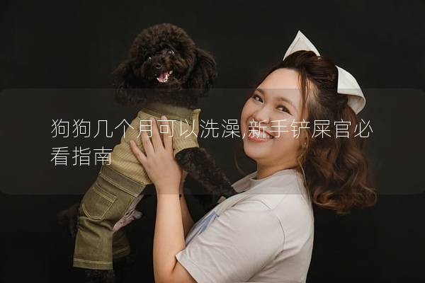 狗狗几个月可以洗澡,新手铲屎官必看指南