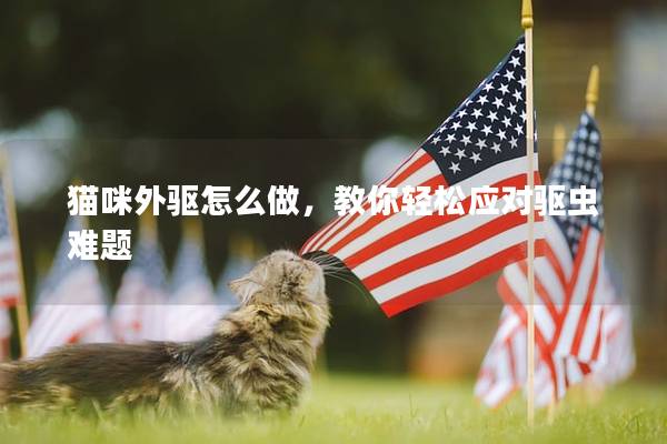 猫咪外驱怎么做，教你轻松应对驱虫难题