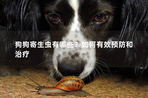 狗狗寄生虫有哪些？如何有效预防和治疗