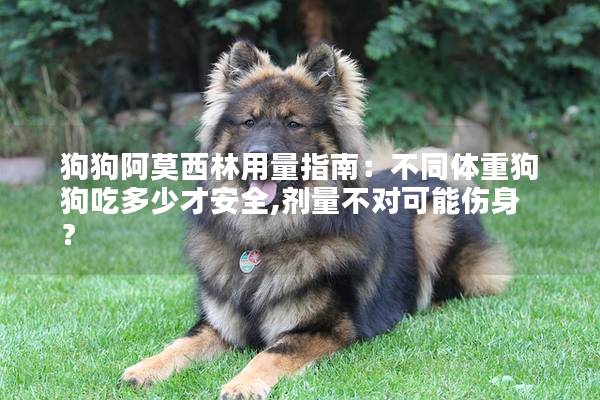 狗狗阿莫西林用量指南：不同体重狗狗吃多少才安全,剂量不对可能伤身？