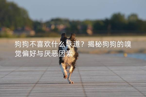 狗狗不喜欢什么味道？揭秘狗狗的嗅觉偏好与厌恶因素