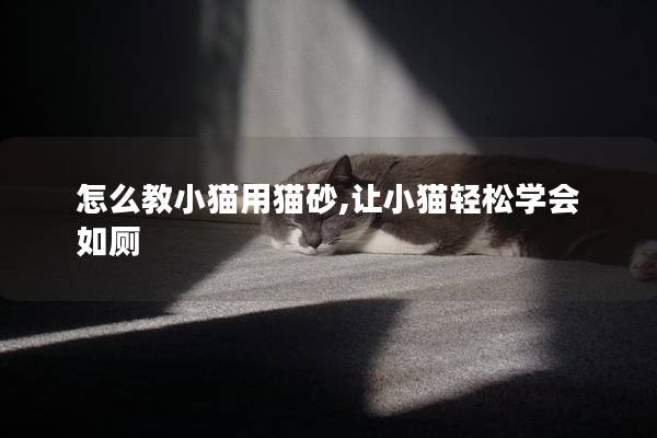 怎么教小猫用猫砂,让小猫轻松学会如厕