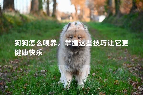 狗狗怎么喂养，掌握这些技巧让它更健康快乐