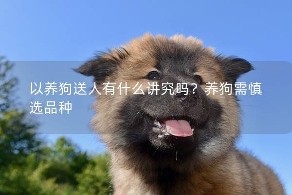以养狗送人有什么讲究吗？养狗需慎选品种