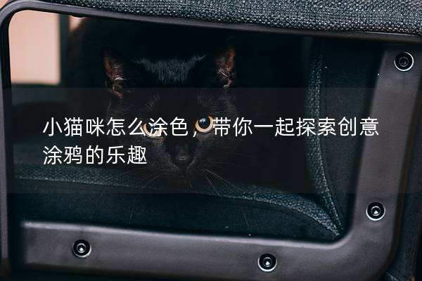 小猫咪怎么涂色，带你一起探索创意涂鸦的乐趣