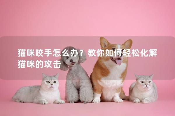猫咪咬手怎么办？教你如何轻松化解猫咪的攻击
