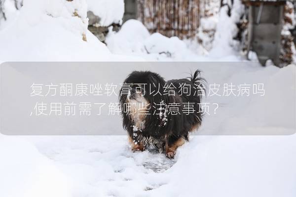 复方酮康唑软膏可以给狗治皮肤病吗,使用前需了解哪些注意事项？