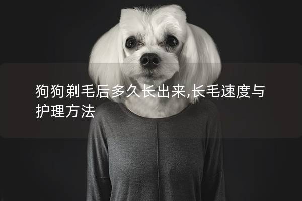 狗狗剃毛后多久长出来,长毛速度与护理方法