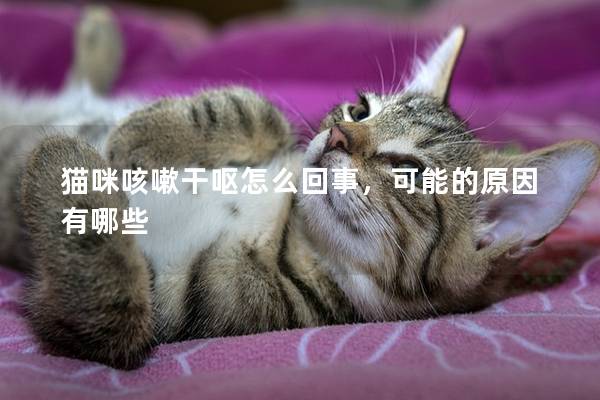 猫咪咳嗽干呕怎么回事，可能的原因有哪些