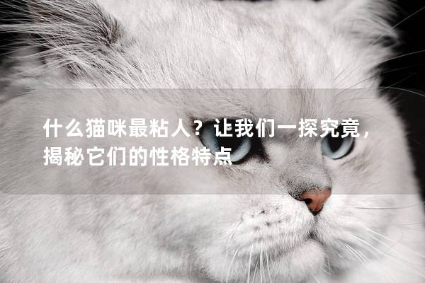 什么猫咪最粘人？让我们一探究竟，揭秘它们的性格特点
