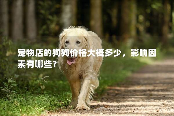 宠物店的狗狗价格大概多少，影响因素有哪些？
