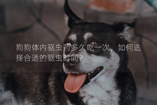 狗狗体内驱虫药多久吃一次，如何选择合适的驱虫时间？