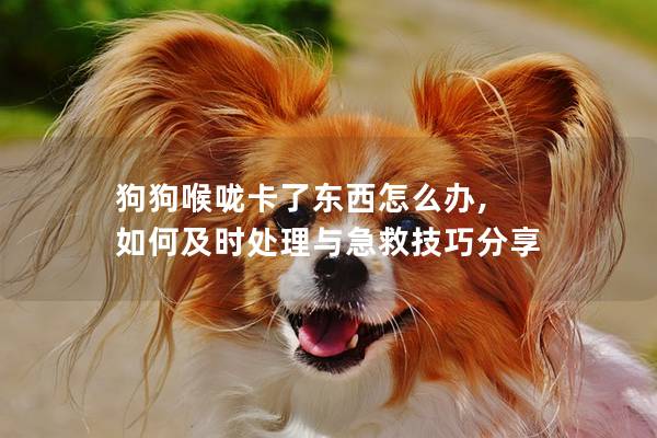 狗狗喉咙卡了东西怎么办, 如何及时处理与急救技巧分享