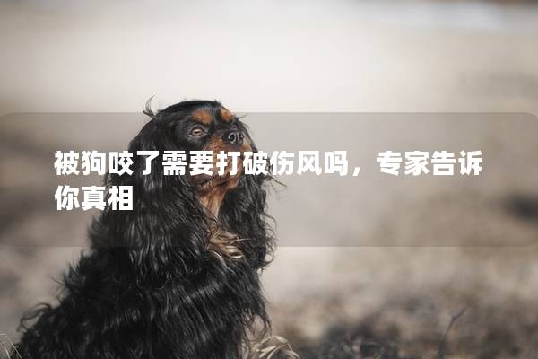 被狗咬了需要打破伤风吗，专家告诉你真相