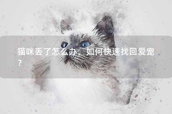 猫咪丢了怎么办，如何快速找回爱宠？