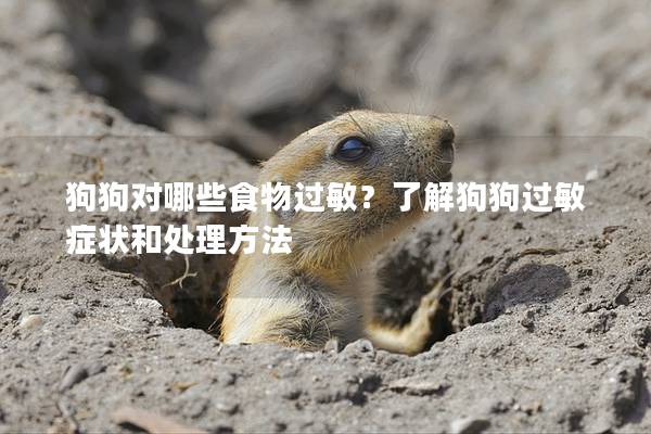 狗狗对哪些食物过敏？了解狗狗过敏症状和处理方法