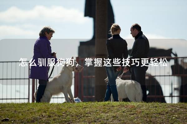 怎么驯服狗狗，掌握这些技巧更轻松