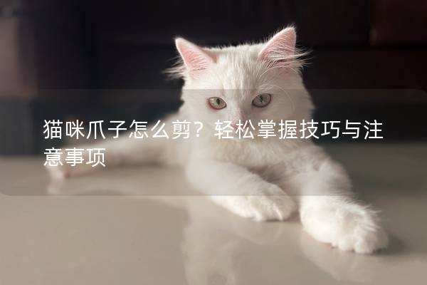 猫咪爪子怎么剪？轻松掌握技巧与注意事项