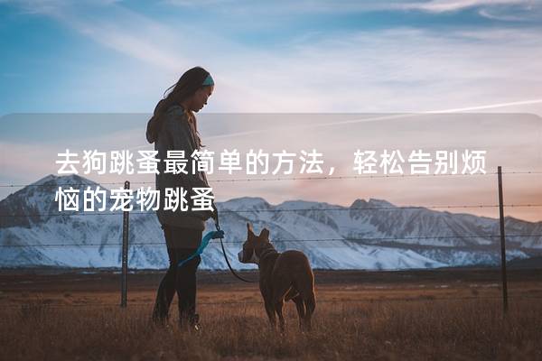 去狗跳蚤最简单的方法，轻松告别烦恼的宠物跳蚤