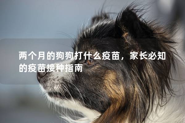 两个月的狗狗打什么疫苗，家长必知的疫苗接种指南
