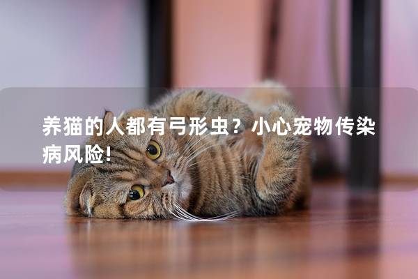 养猫的人都有弓形虫？小心宠物传染病风险!