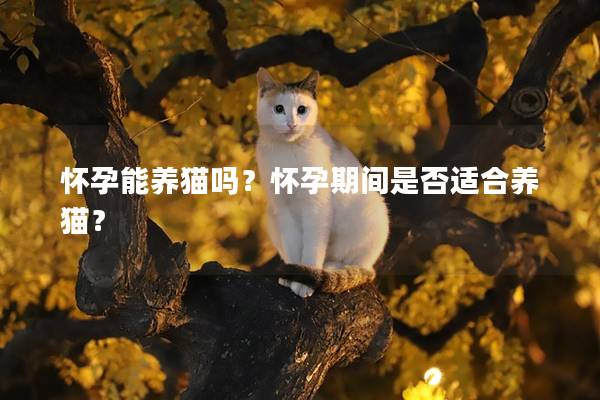 怀孕能养猫吗？怀孕期间是否适合养猫？