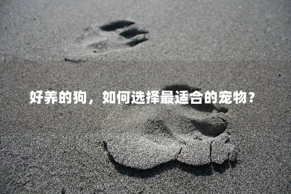好养的狗，如何选择最适合的宠物？