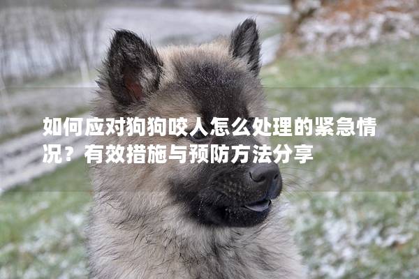 如何应对狗狗咬人怎么处理的紧急情况？有效措施与预防方法分享