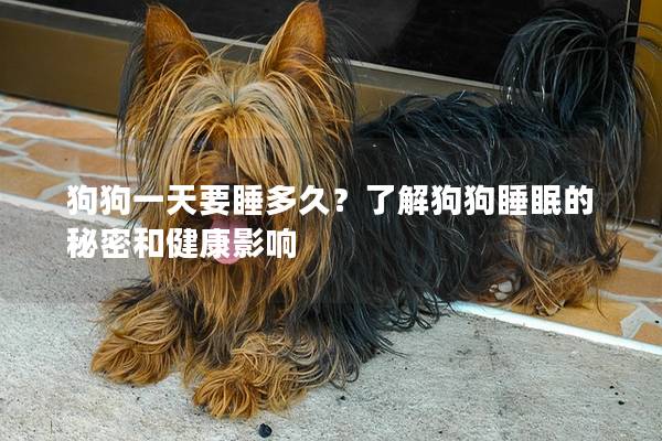 狗狗一天要睡多久？了解狗狗睡眠的秘密和健康影响