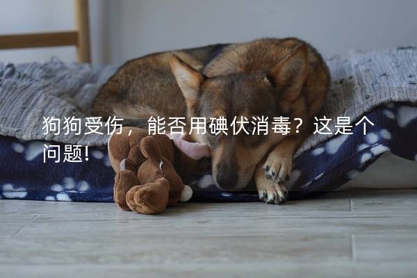 狗狗受伤，能否用碘伏消毒？这是个问题!