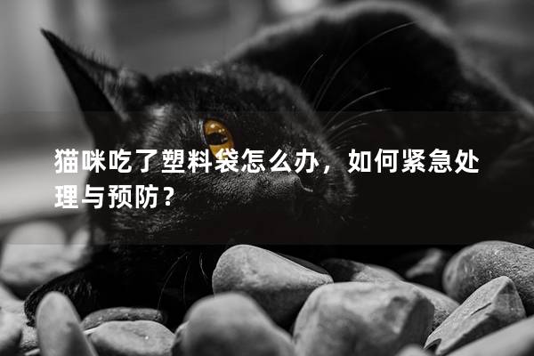 猫咪吃了塑料袋怎么办，如何紧急处理与预防？