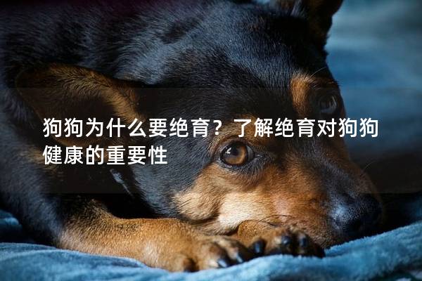 狗狗为什么要绝育？了解绝育对狗狗健康的重要性