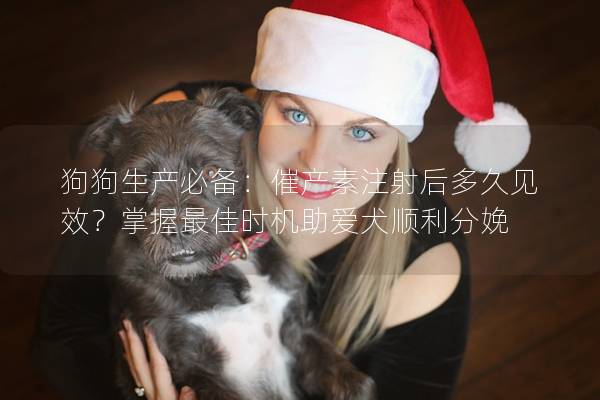 狗狗生产必备：催产素注射后多久见效？掌握最佳时机助爱犬顺利分娩