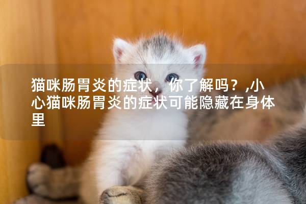 猫咪肠胃炎的症状，你了解吗？,小心猫咪肠胃炎的症状可能隐藏在身体里