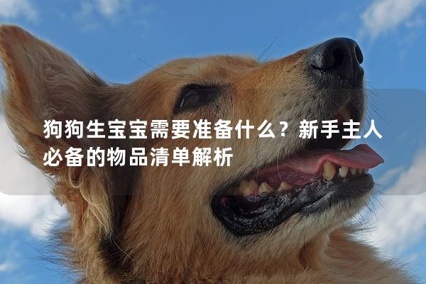 狗狗生宝宝需要准备什么？新手主人必备的物品清单解析